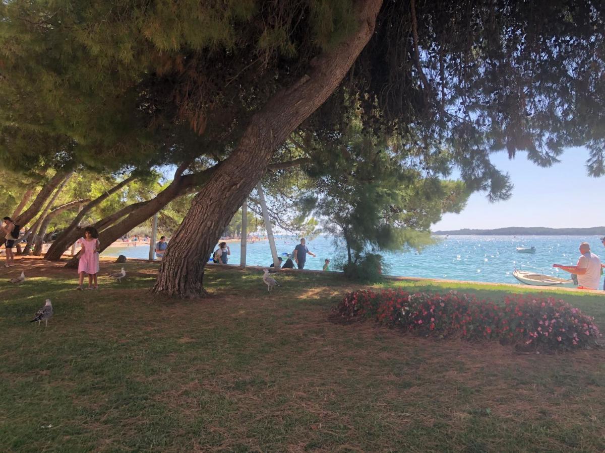 Istrian Stone House In The Heart Of The Beautiful Fishing Village Fazana - Only Few Steps From The Sea And The Wonderful Beach - Incl Plasma-Quad-Plus-Filter Against C O V I D エクステリア 写真